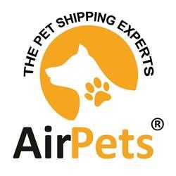 Dog Transport Services in Delhi for Domestic & International Relocation