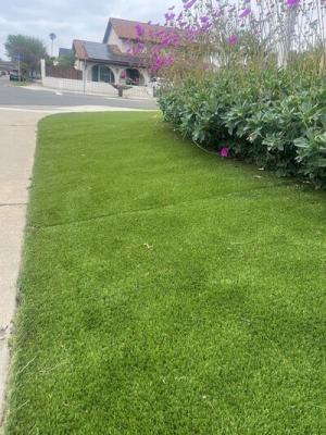 Artificial grass orange county - Other Other