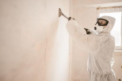 Mold Removal & Remediation in Commack, NY - New York Other