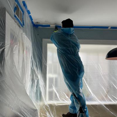 Mold Removal & Remediation in Commack, NY - New York Other