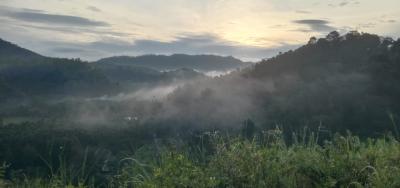 Coffee Ghiri homestay - Mysore Vacation Rentals