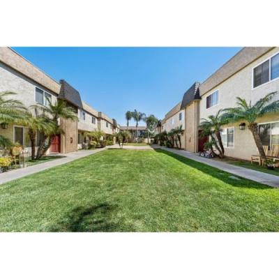 Best Photographer in San Diego - Other Other