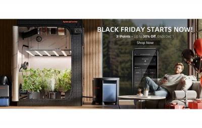 Your Indoor Garden's Ultimate Black Friday Harvest