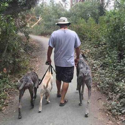 Basic Dog Obedience Training