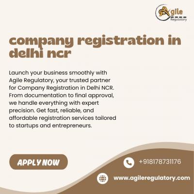 Agile Regulatory Offers Complete Company Registration Services in Delhi NCR