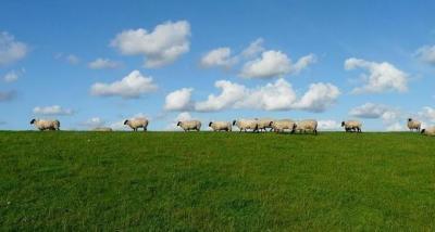 Farm Table - Melbourne Professional Services