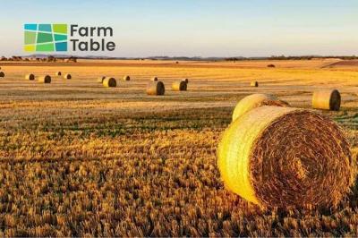 Farm Table - Melbourne Professional Services