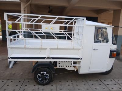 Renting New 3-Wheeler EV - Mumbai Rentals