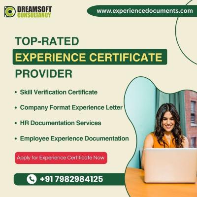 Genuine Experience Certificate Provider in Lucknow - Lucknow Other