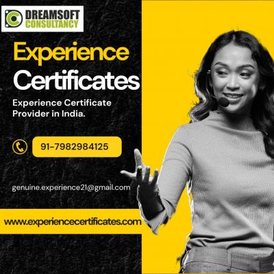 Hyderabad Experience Certificate Editing & Drafting - Hyderabad Other