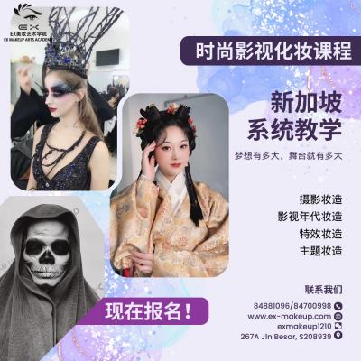 Eyebrow Embroidery Course - Singapore Region Other