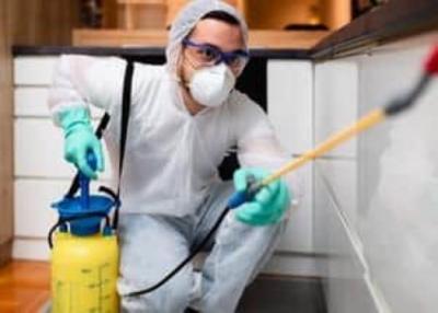 Best Pest Control Company‎ - Bhubaneswar Other