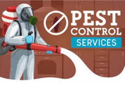 Best Pest Control Company‎ - Bhubaneswar Other