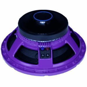High Output 15 Inch Ferrite DJ Speaker