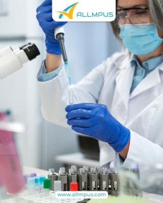 Amoxicillin Impurity - Allmpus - Pune Other