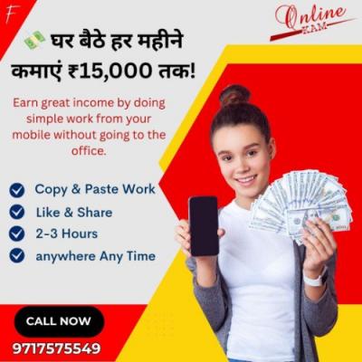 Work from Home - Amritsar Other
