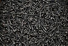 (1000) Square Drive Pan Head 6 x 1-1/4 Fine Face Framing Type 17 Wood Screws - Honesdale - US