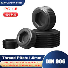 M10-M33 12.9 Plug Throat Socket Pipe Plugs Hex Socket Plug Screws pitch 1.5mm - CN