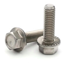 Flange Bolts Serrated Hex Flange Bolts 18-8 Stainless Steel #12-24 Select Length - Sayreville - US