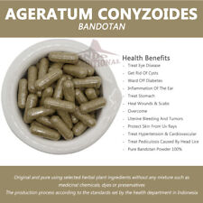 Capsule Ageratum Conyzoides/ Bandotan Pure Organic Powder Body Health - 100 pcs - Toronto - Canada