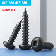 Black Hex Socket Self Tapping Screws Grade 8.8 Pan Head Wood Screw M3 M4 M5 M6 - CN