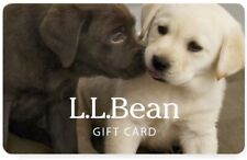 LL BEAN GIFT CARD $100
