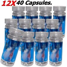 12X Natural Fast Slimming Herbs Extracted Detox Weight Control Fat Burn 40 Capsu - Toronto - Canada