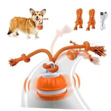 Peppy Pet Ball for Dogs, Dog Interactive Toys Dog Ball,Motion Activate Rolling - Miami - US