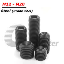 M12 M14 M16 M20 Grub Screws Cup Point Allen Socket Set Screw 12.9 Steel Black - CN