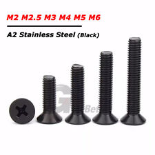 Phillips Flat Head Countersunk Screws A2 304 Stainless Black M2 M2.5 M3 M4 M5 M6 - CN