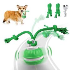 Interactive Dog Toys Rolling Ball for Puppy/Small Dogs,Peppy Pet Ball for Green - Nashville - US