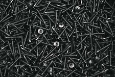 (700) Plain Black Phillips Mod Truss Head 8 x 1-1/4 Self-Drilling #8 Tek Screw - Honesdale - US