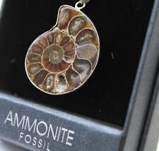 An Ammonite Pendant - boxed in original package.