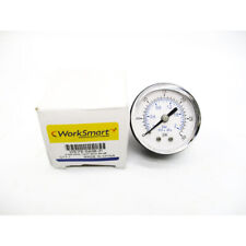 WORK SMART WS-PE-GAGE-31 30PSI 2 NSMP - Knoxville - US"