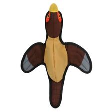 Tendertuffs SPL Flying Pheasant - Milawa - AU