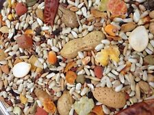 Higgins Safflower Gold Large Parrot Diet Bird Food Nut Fruit African cockatoo