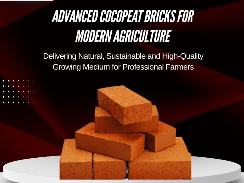 Advanced Cocopeat Bricks For Modern Agriculture