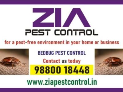 Bed Bugs Control | Bed Bugs Treatment | Bengaluru service provided | 341