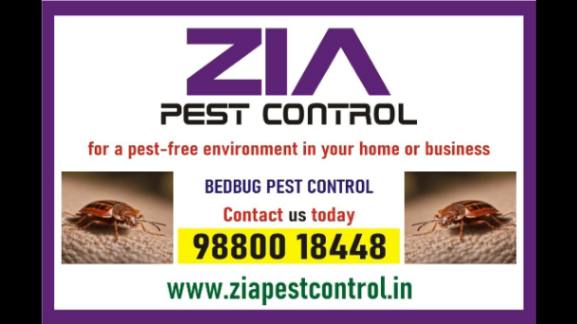 Bed Bugs Control | Bed Bugs Treatment | Bengaluru service provided | 341
