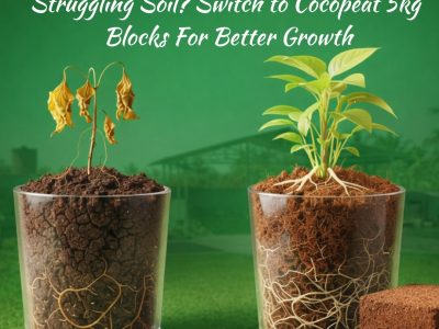 Cocopeat Blocks For Better Growth