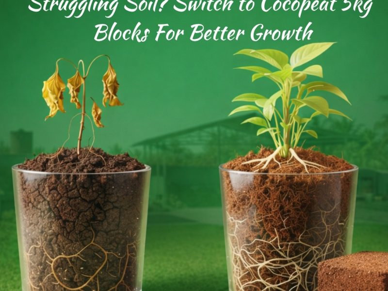 Cocopeat Blocks For Better Growth