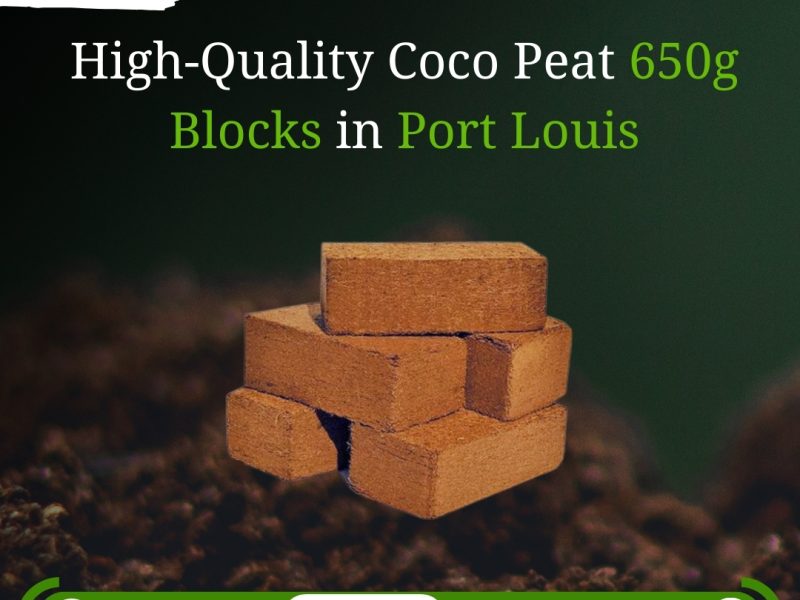 High Quality Coco Peat Blocks in Port Louis