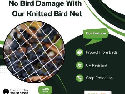 No bird Damage with Our Knitted Bird Net