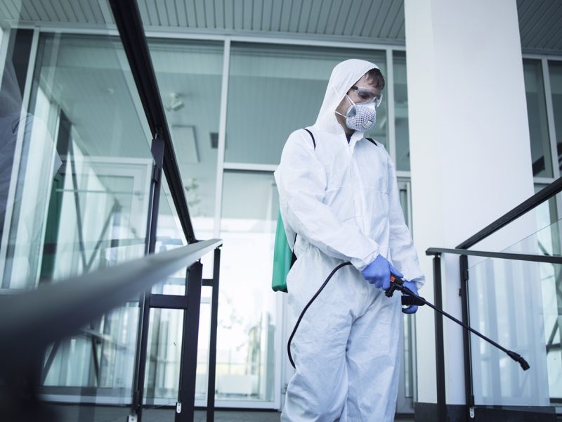 Pest Control Solutions