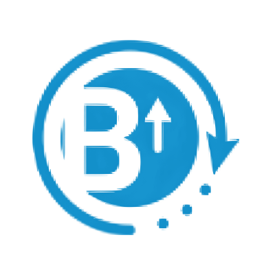 Baadshah Recovery Agency