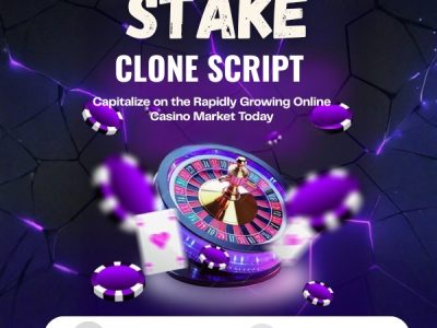 Stake Clone - Perfect Solution for High Revenue Generation in i-gaming Market