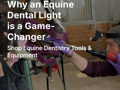 Equine Dental Products