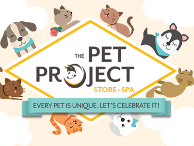 Buy Premium Dog Food Online | Healthy Meals for Every Dog