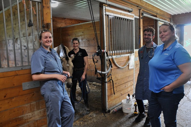 Equine Dental Instruments