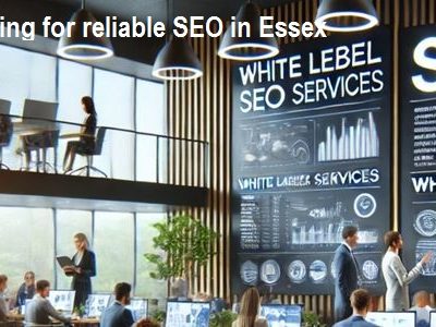 Website Design in Essex